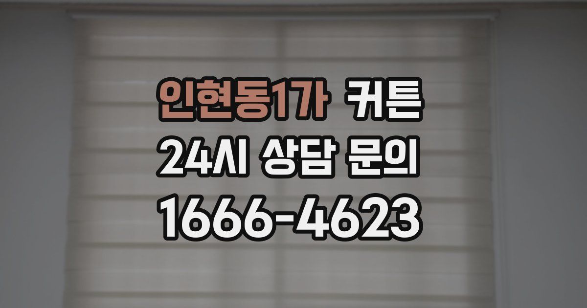 인현동1가 커튼