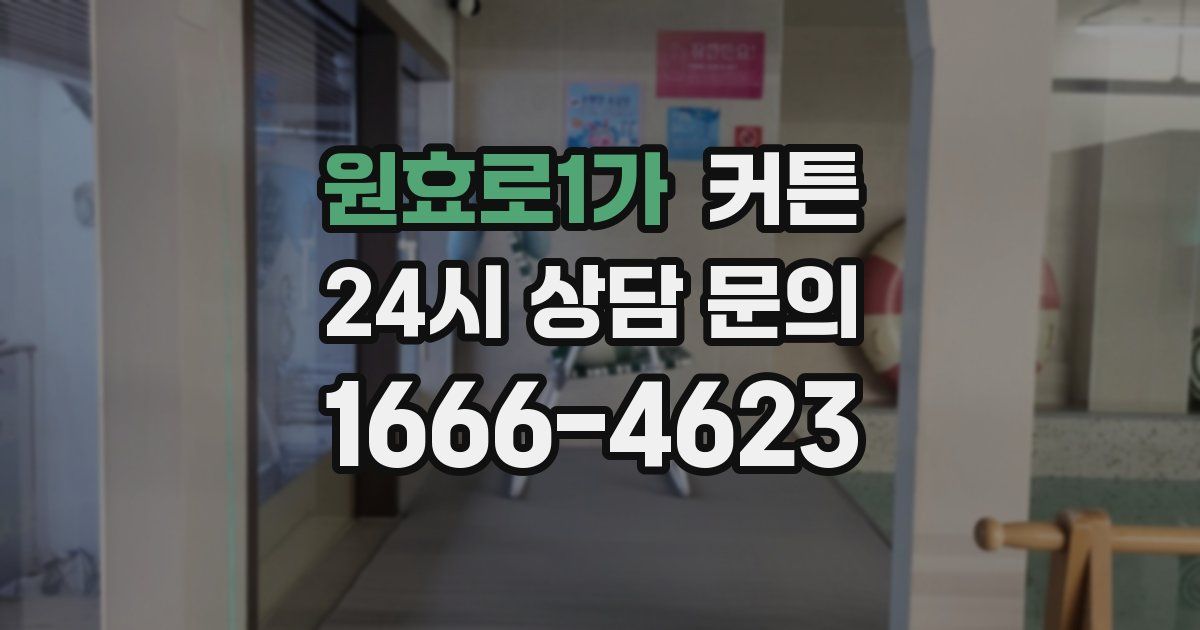 원효로1가 커튼