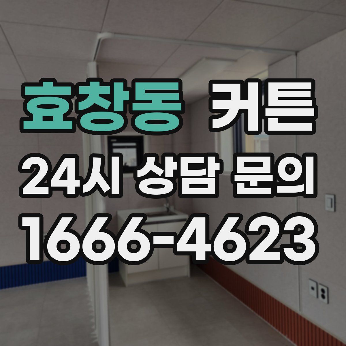 효창동 커튼
