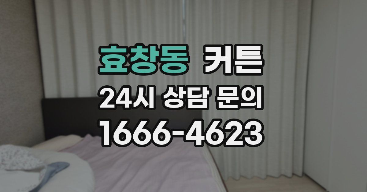 효창동 커튼