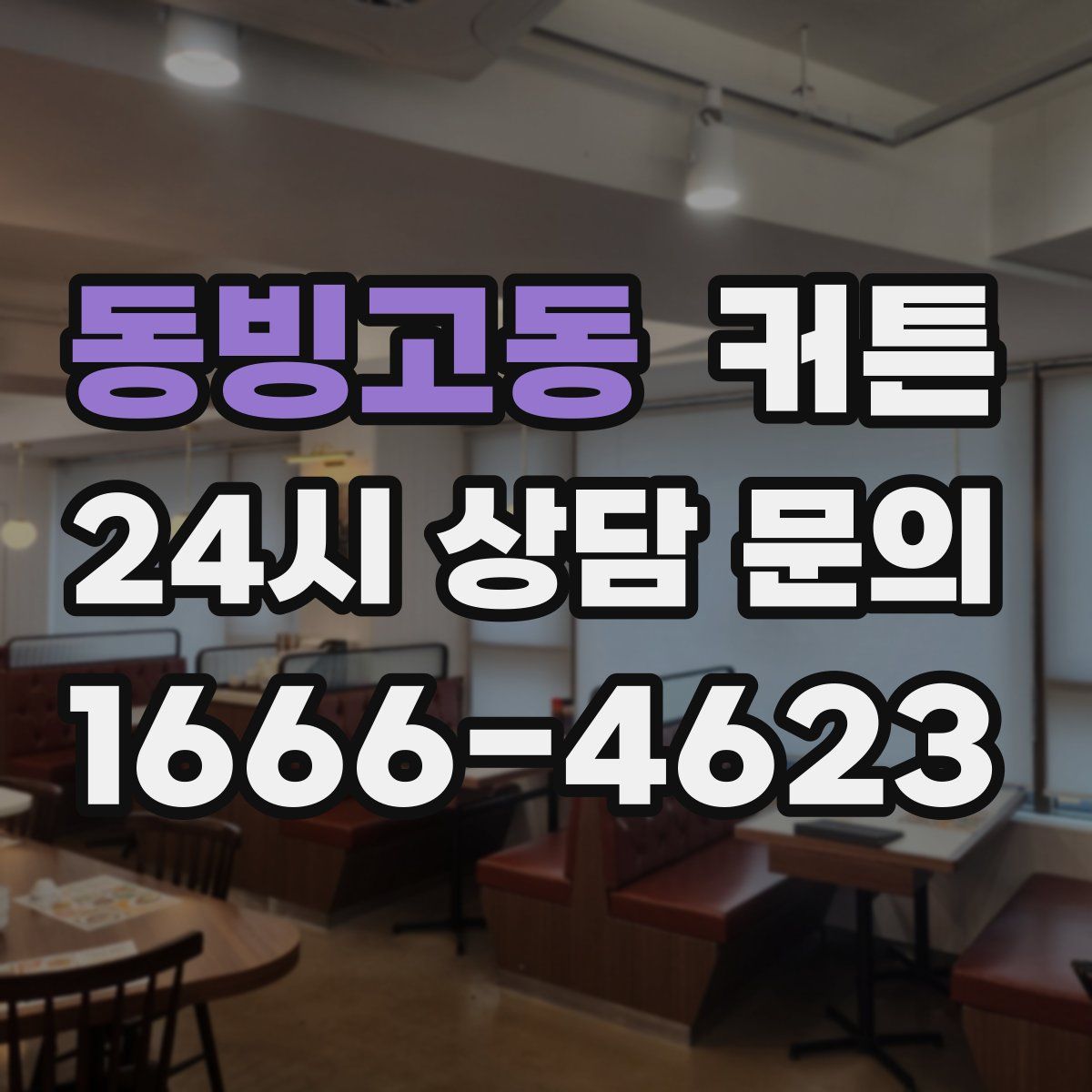 동빙고동 커튼