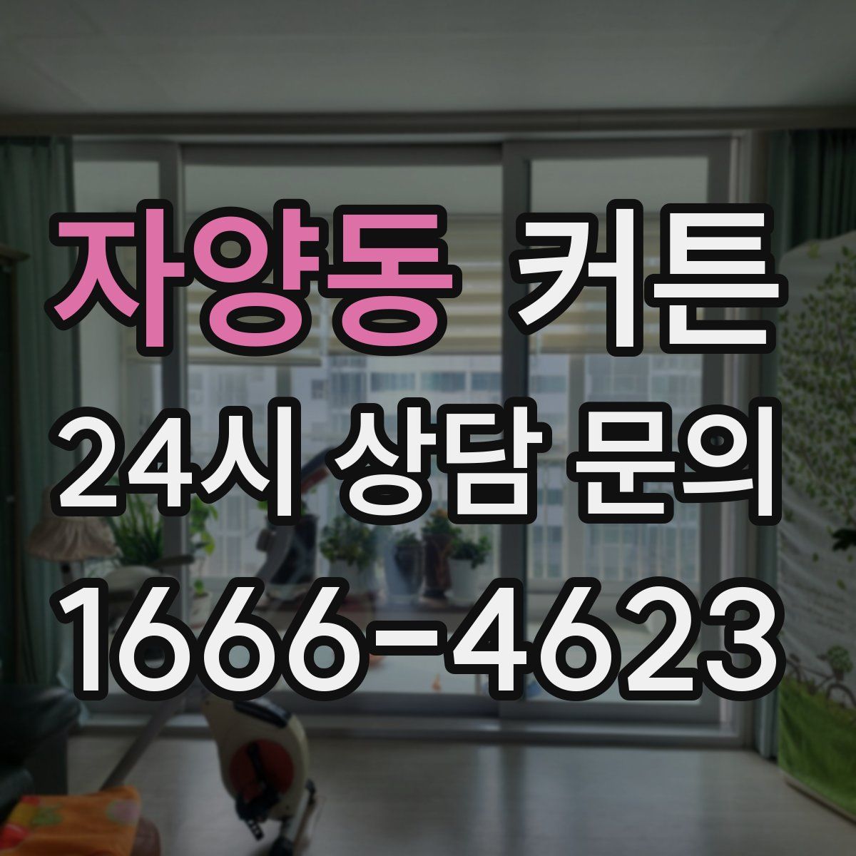 자양동 커튼