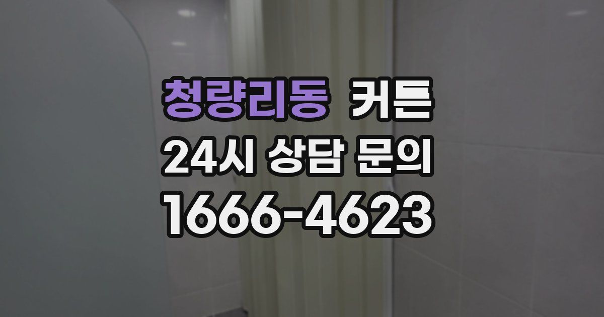 청량리동 커튼