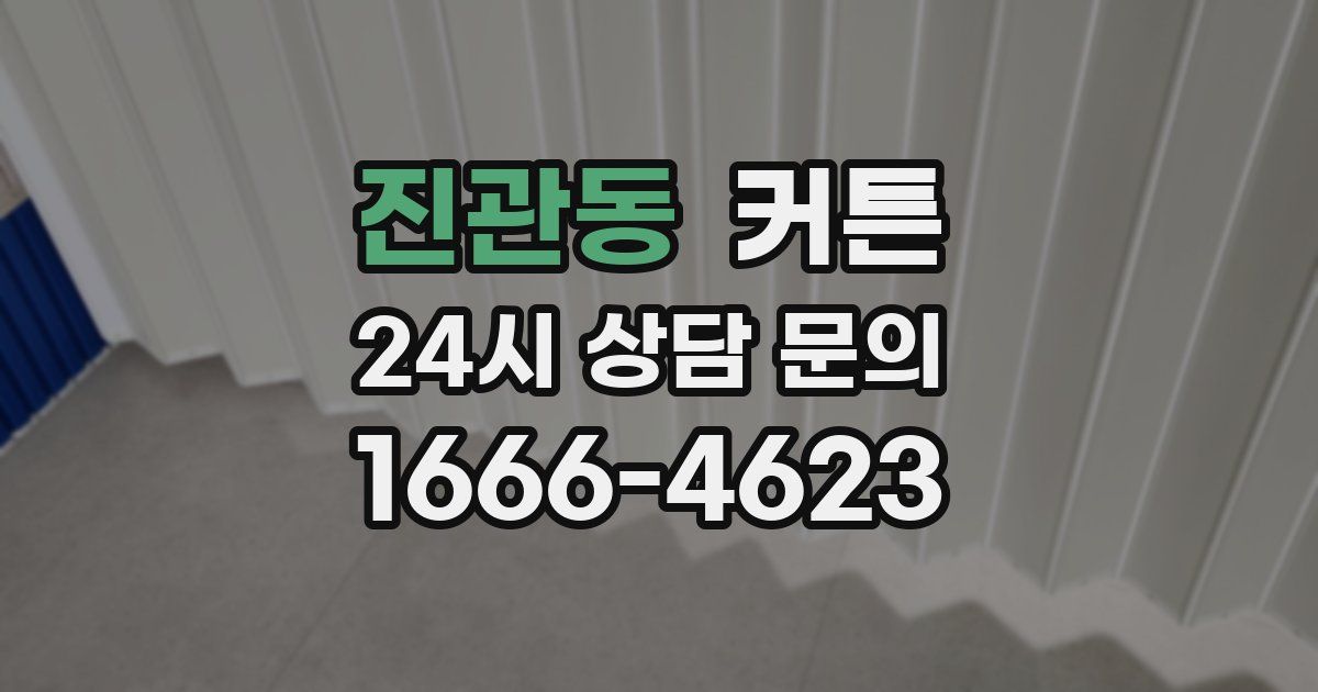 진관동 커튼