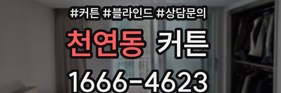 천연동 커튼