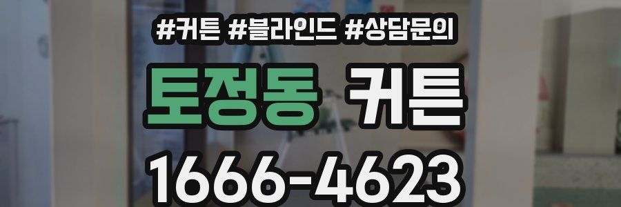 토정동 커튼