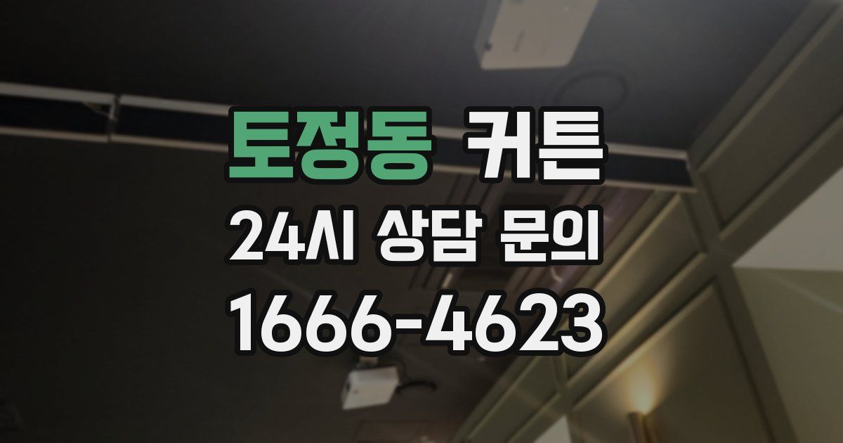 토정동 커튼