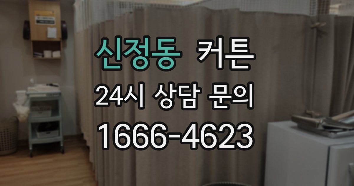 신정동 커튼