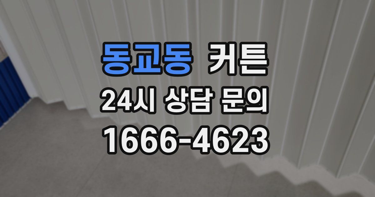 동교동 커튼