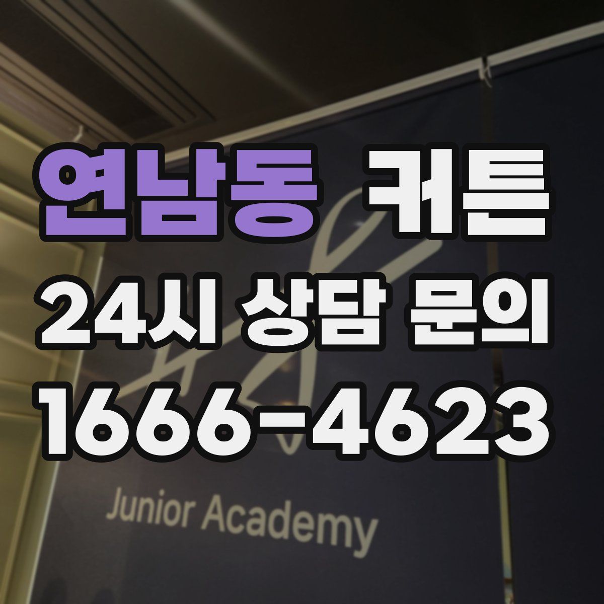 연남동 커튼