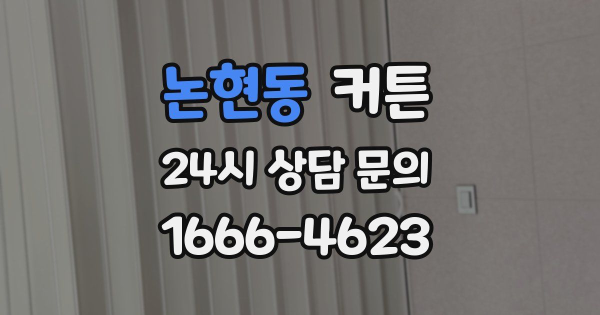 논현동 커튼