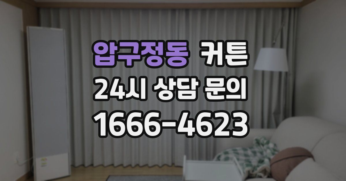 압구정동 커튼