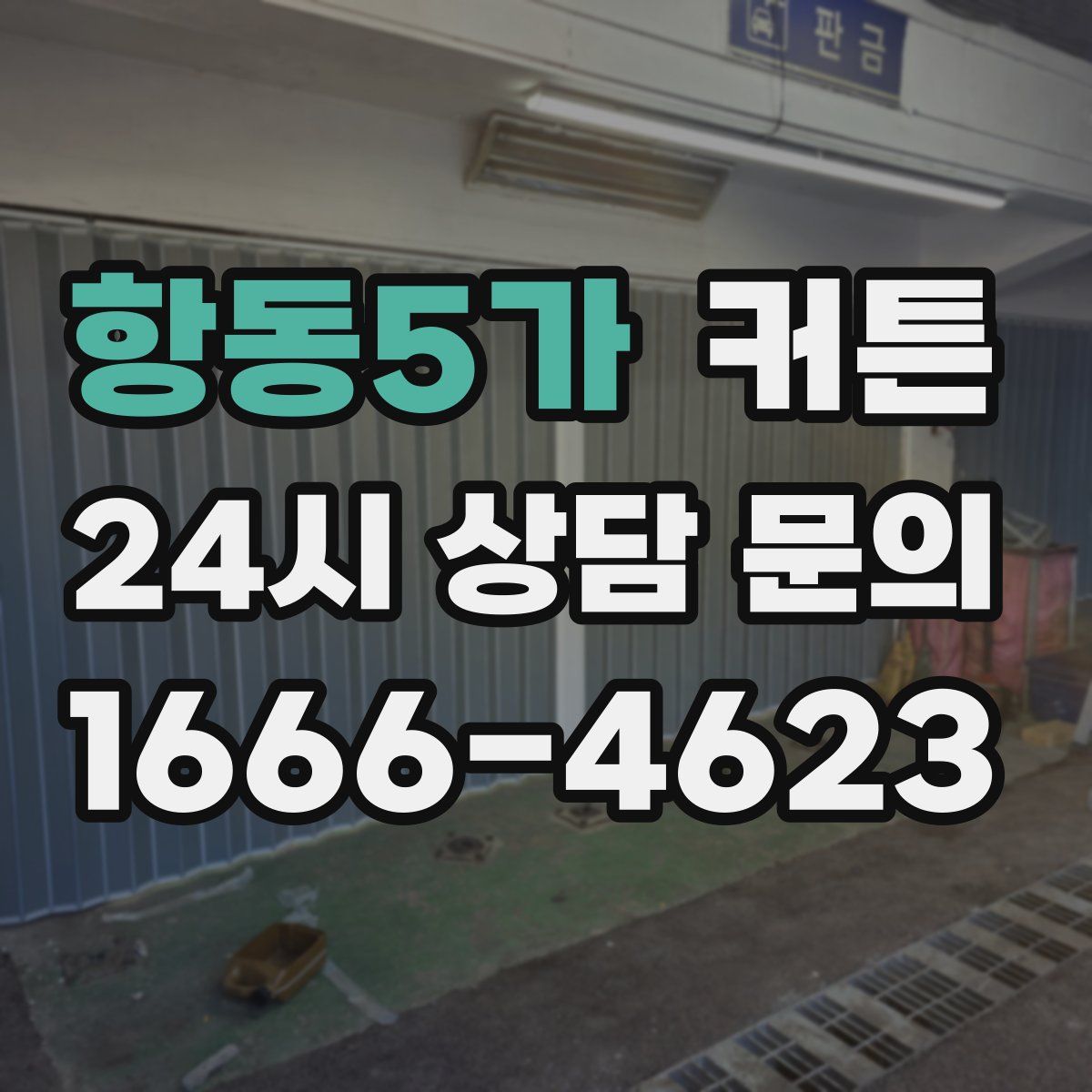 항동5가 커튼