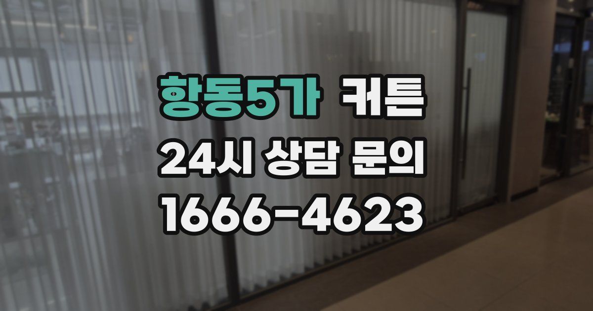 항동5가 커튼