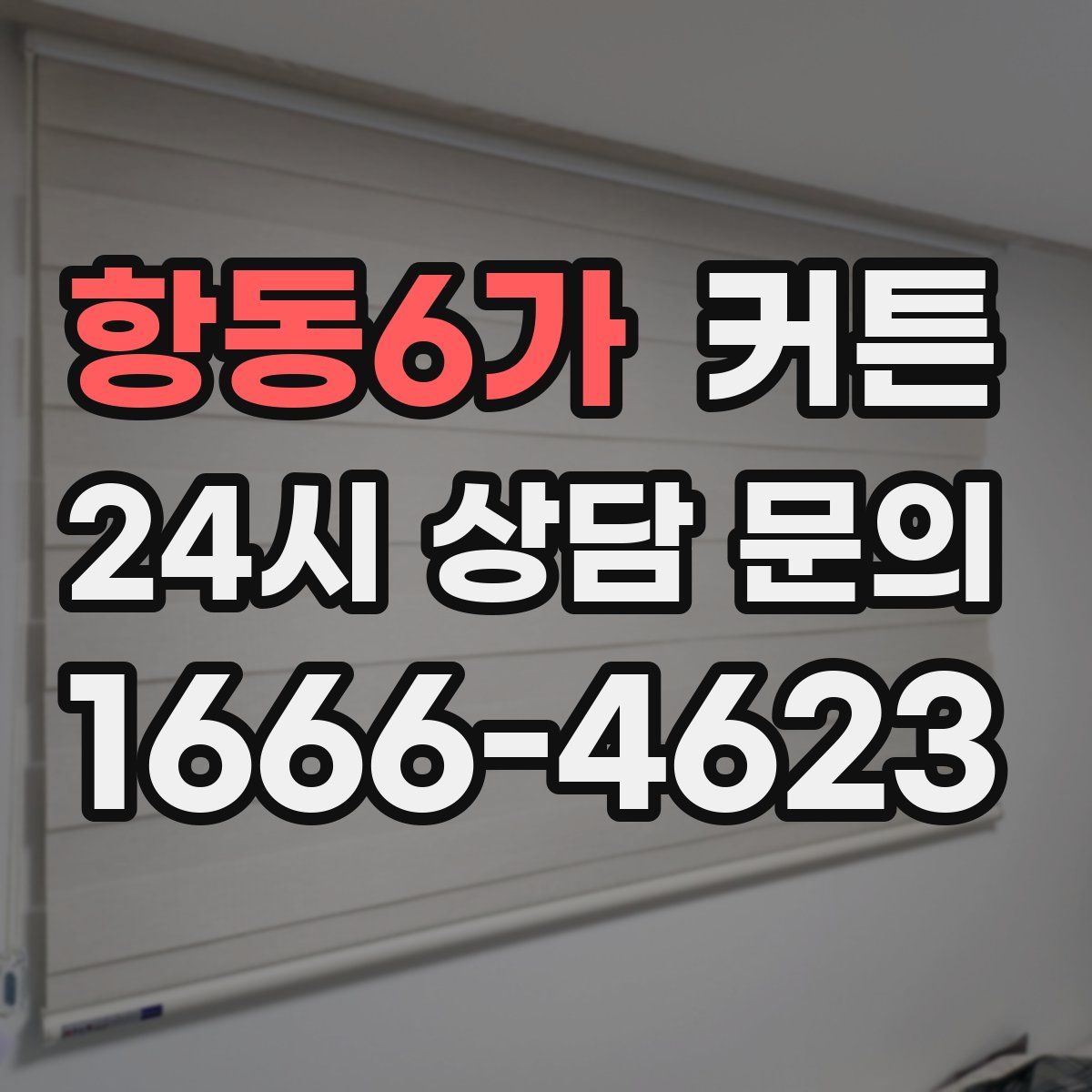 항동6가 커튼