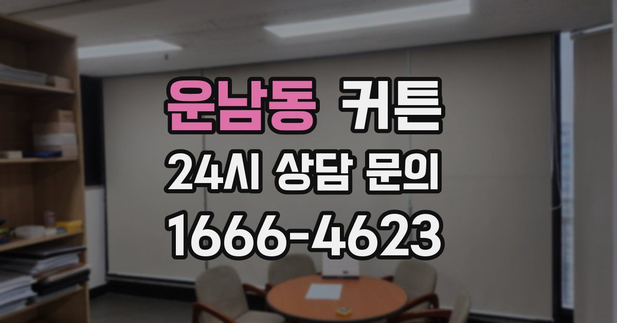 운남동 커튼