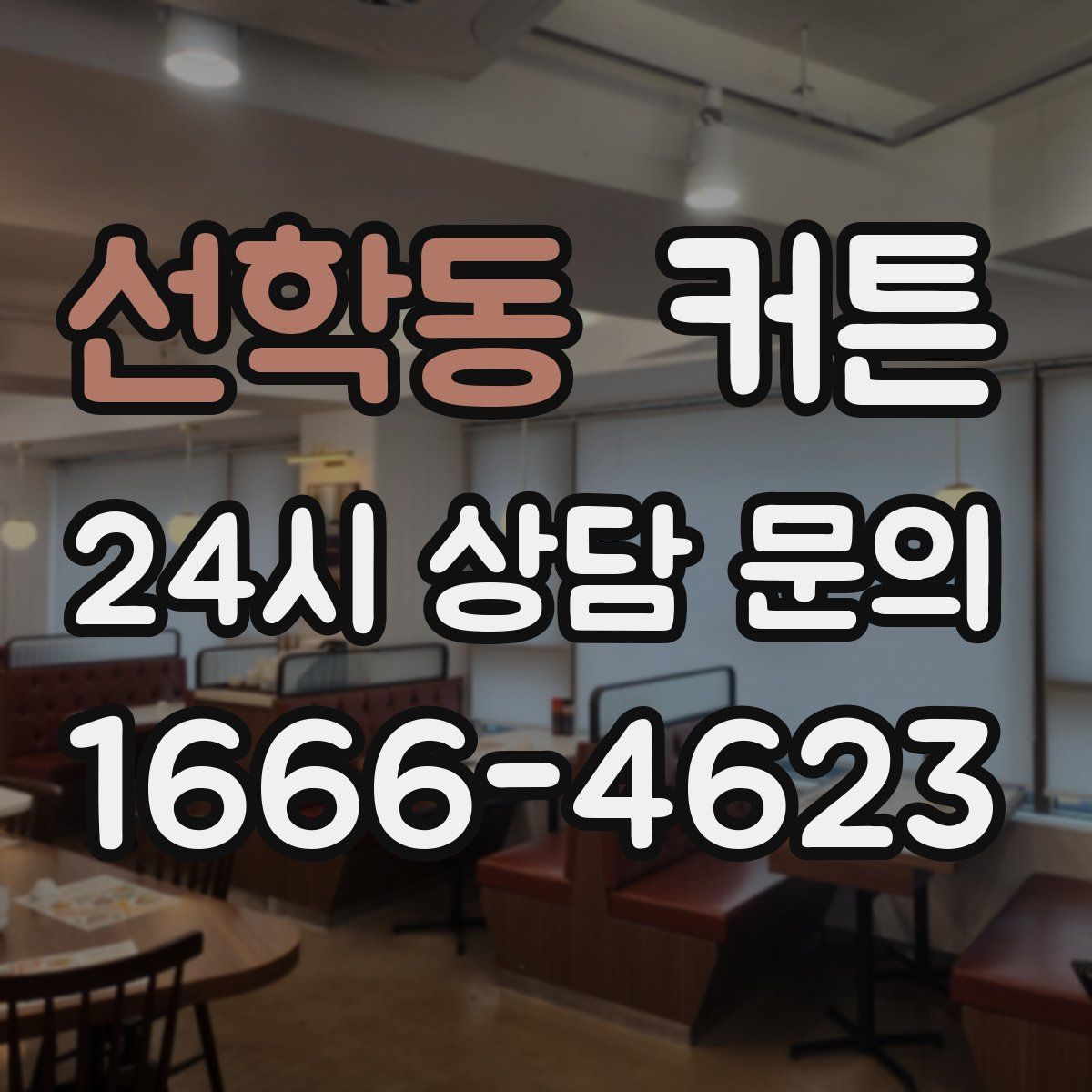 선학동 커튼