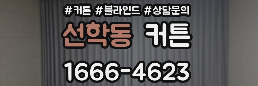 선학동 커튼