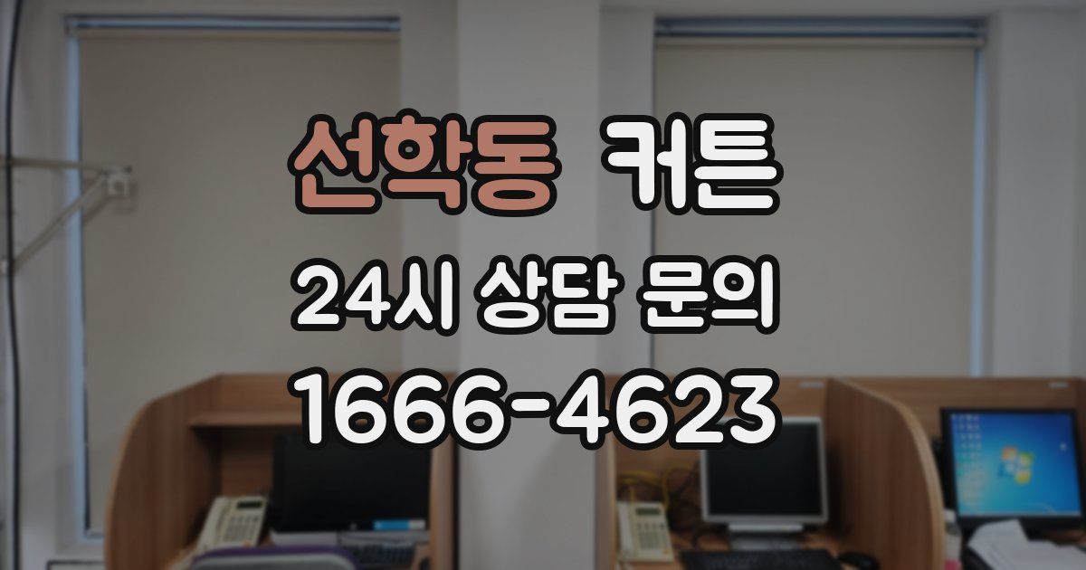 선학동 커튼