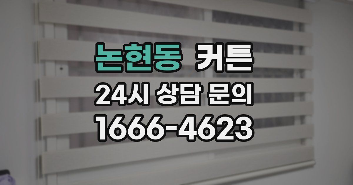 논현동 커튼