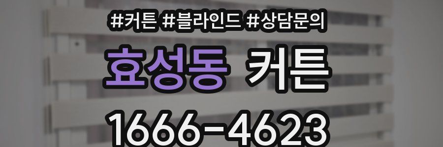 효성동 커튼