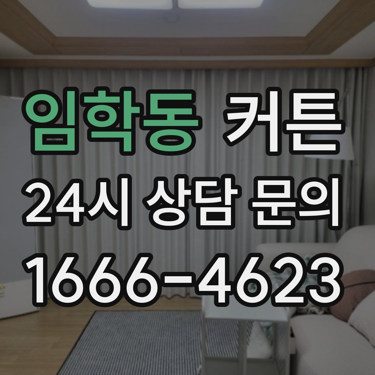 임학동 커튼