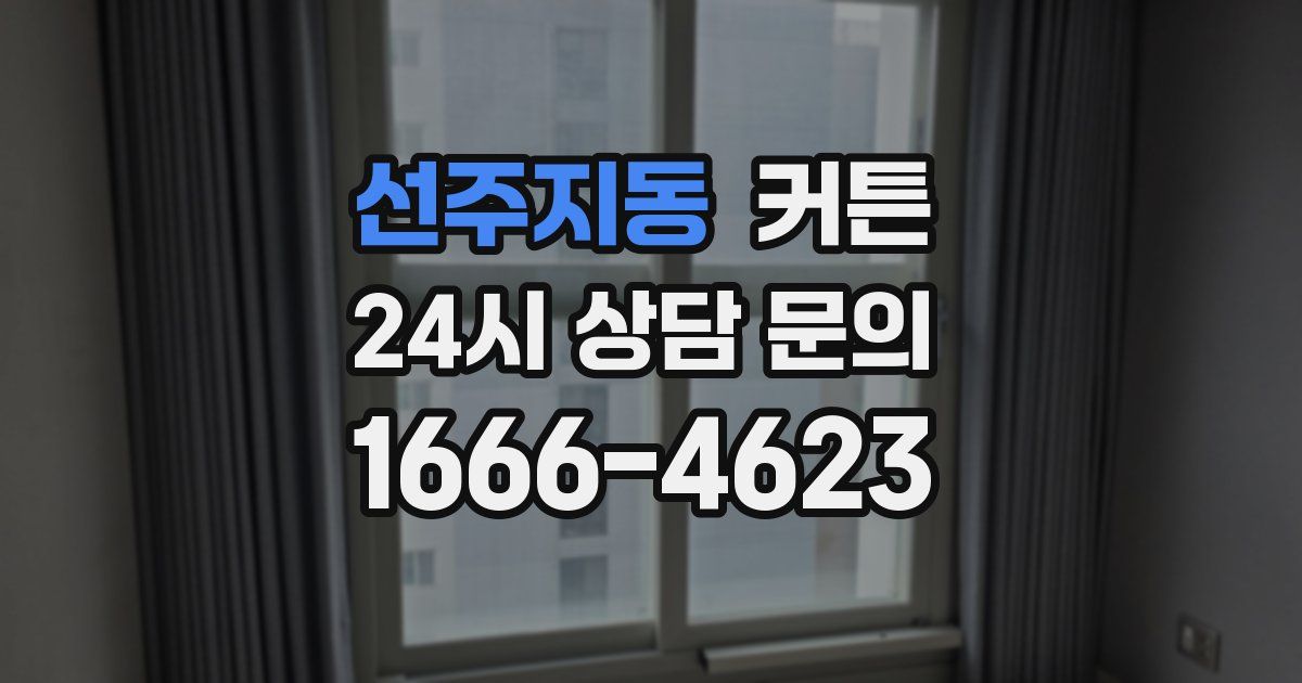 선주지동 커튼