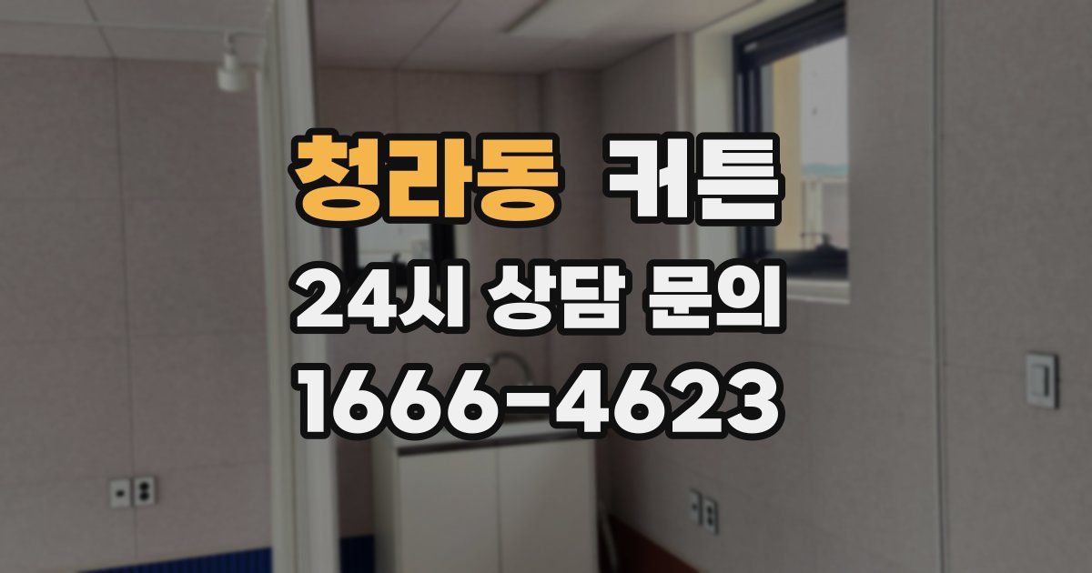 청라동 커튼