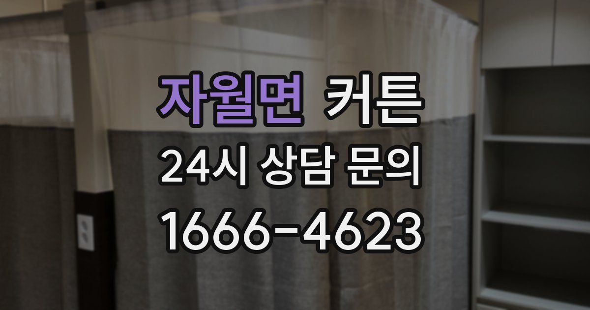 자월면 커튼
