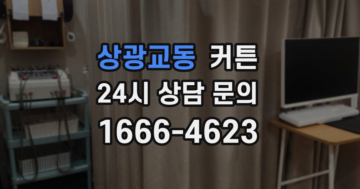 상광교동 커튼