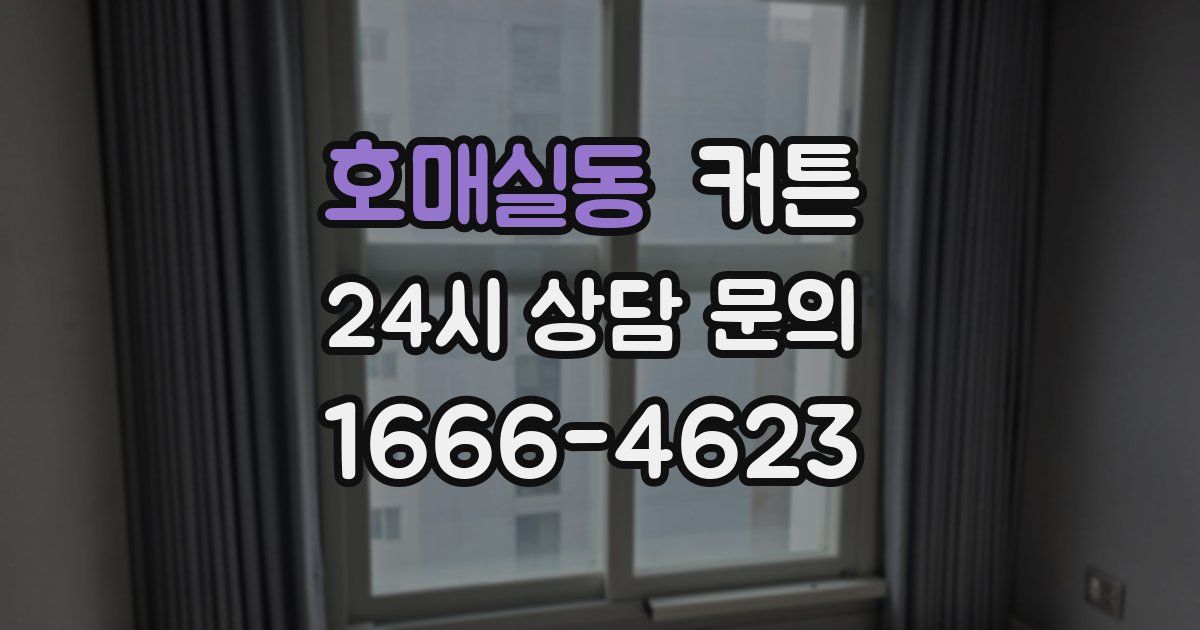 호매실동 커튼