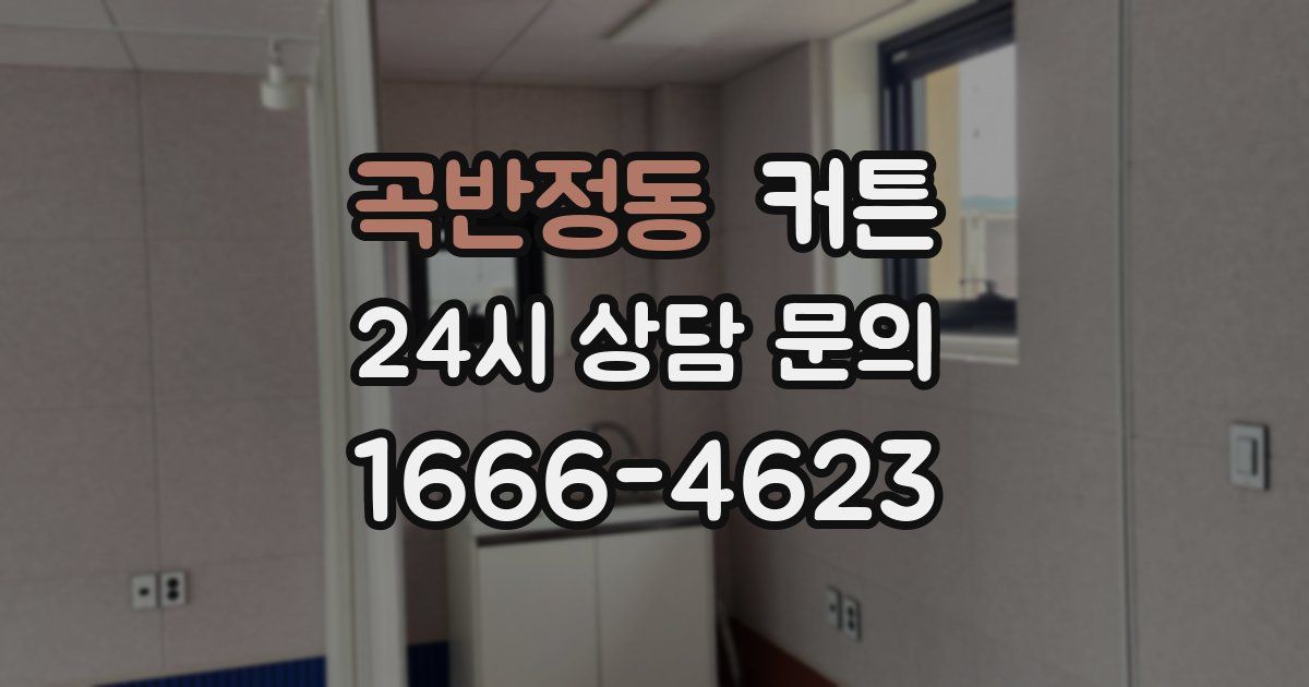 곡반정동 커튼