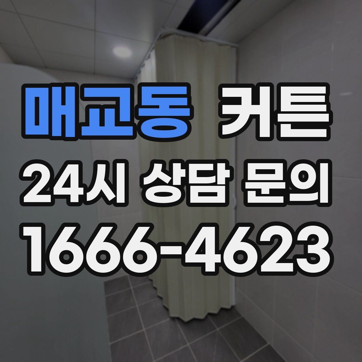 매교동 커튼