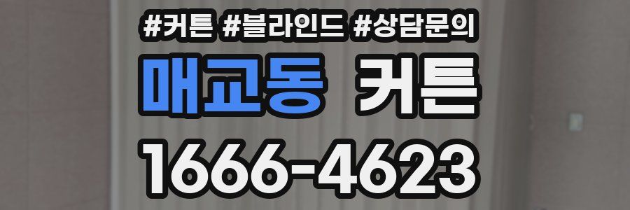매교동 커튼