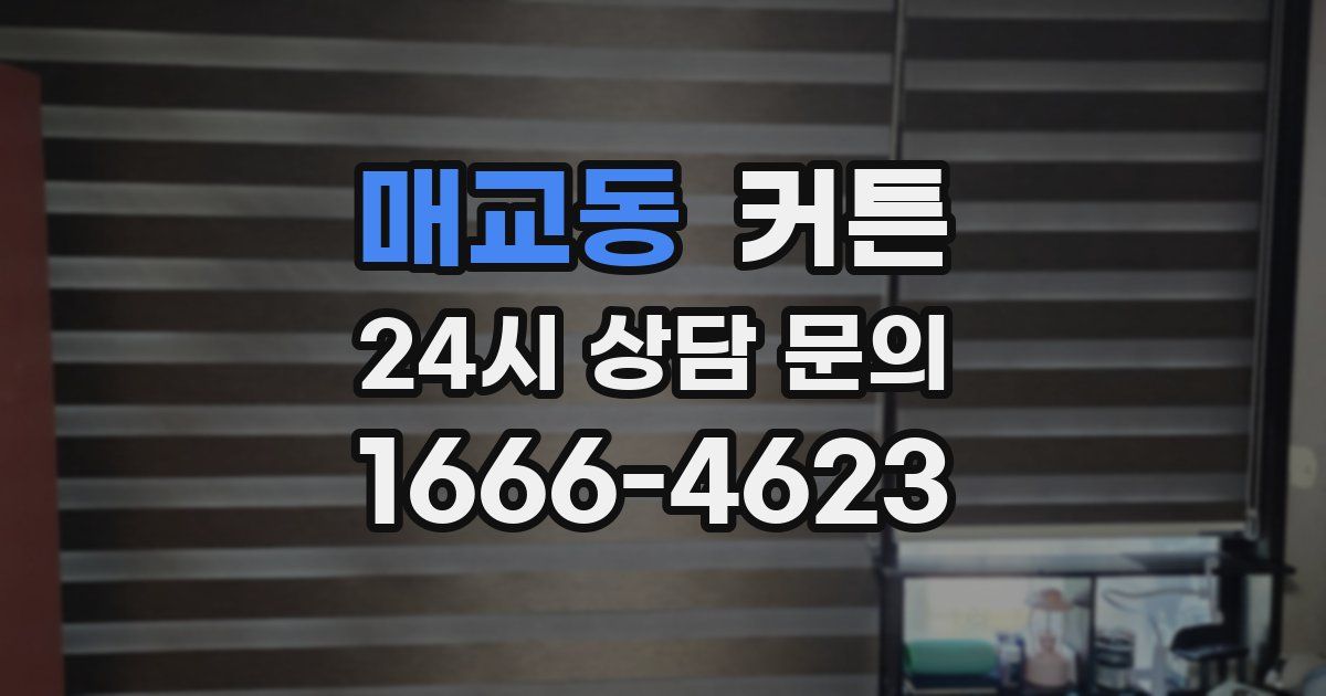 매교동 커튼