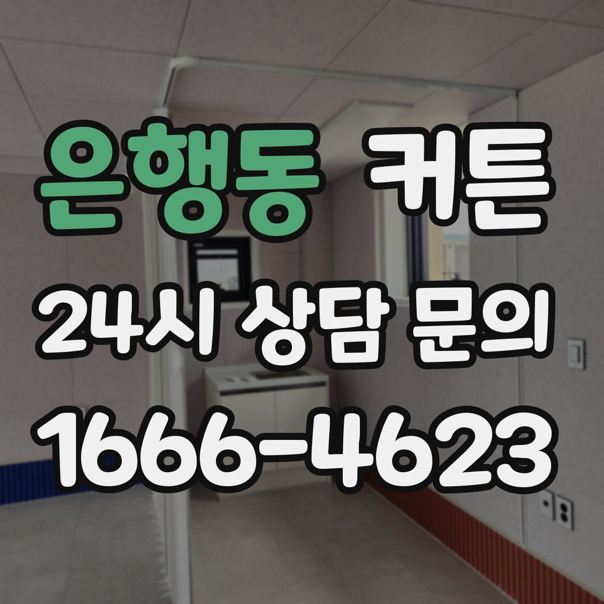 은행동 커튼