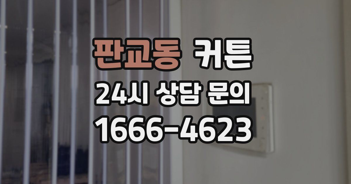 판교동 커튼