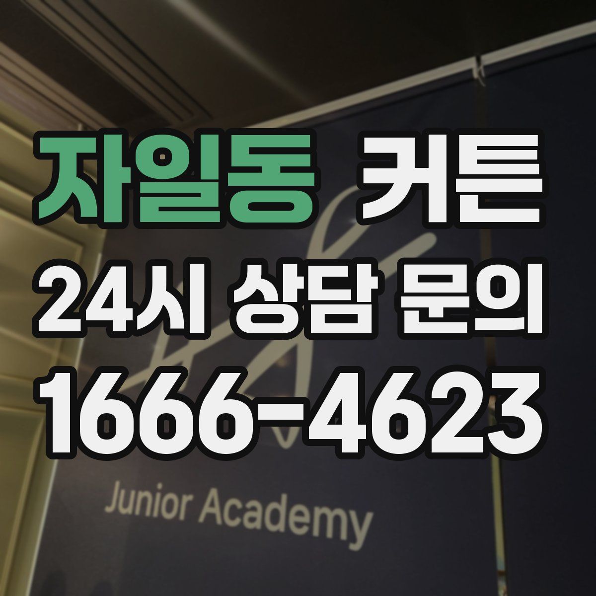 자일동 커튼