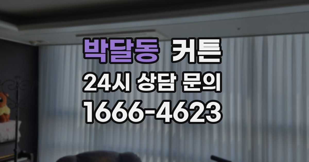 박달동 커튼
