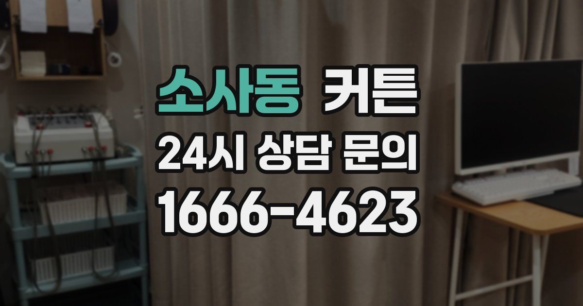 소사동 커튼