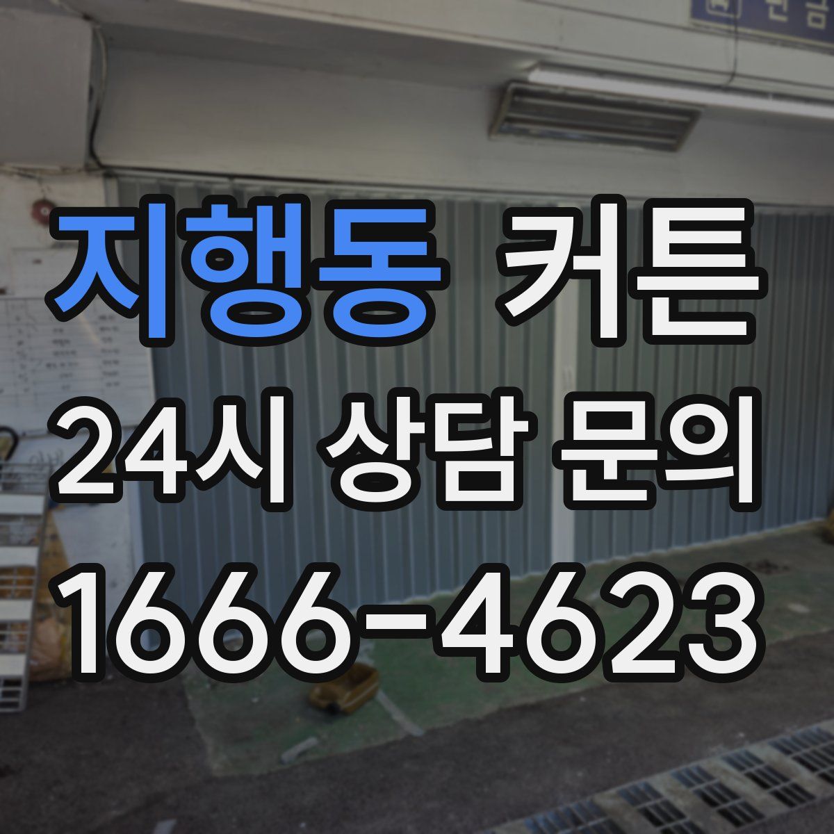 지행동 커튼