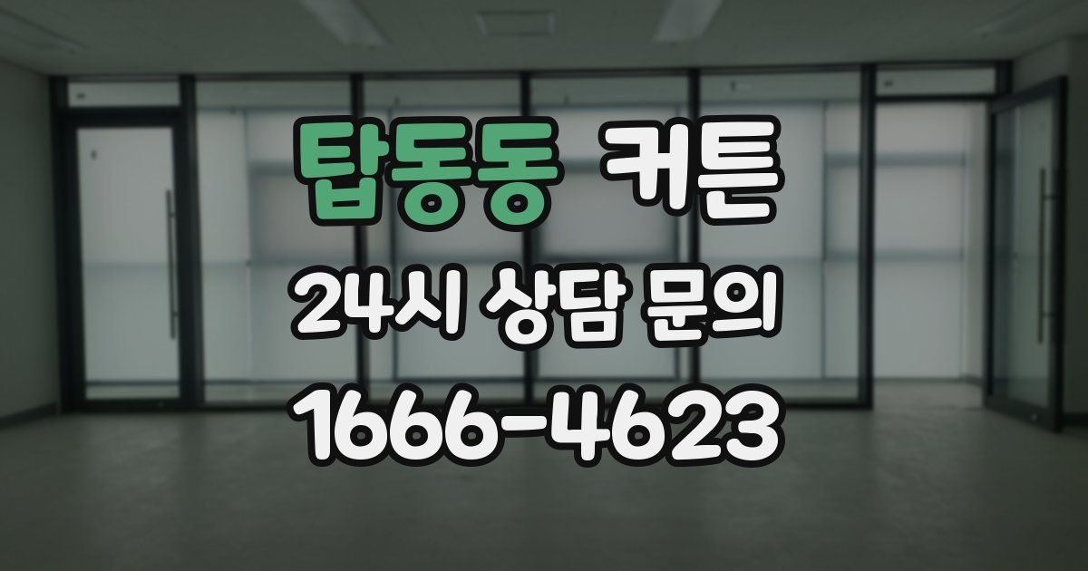 탑동동 커튼