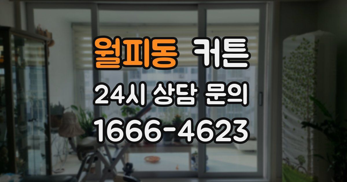 월피동 커튼