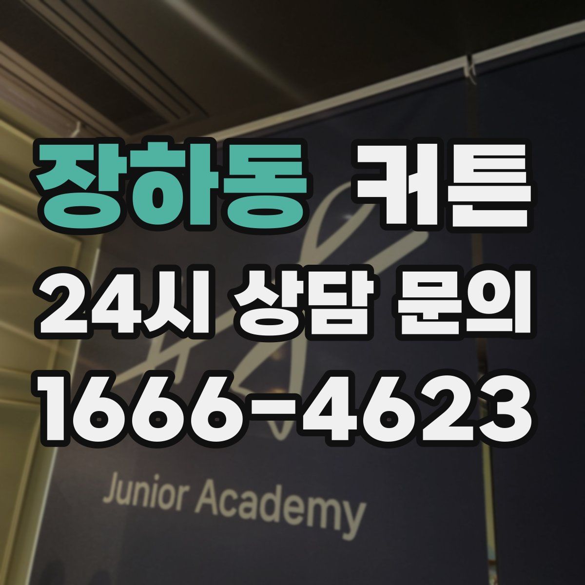 장하동 커튼