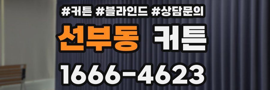 선부동 커튼
