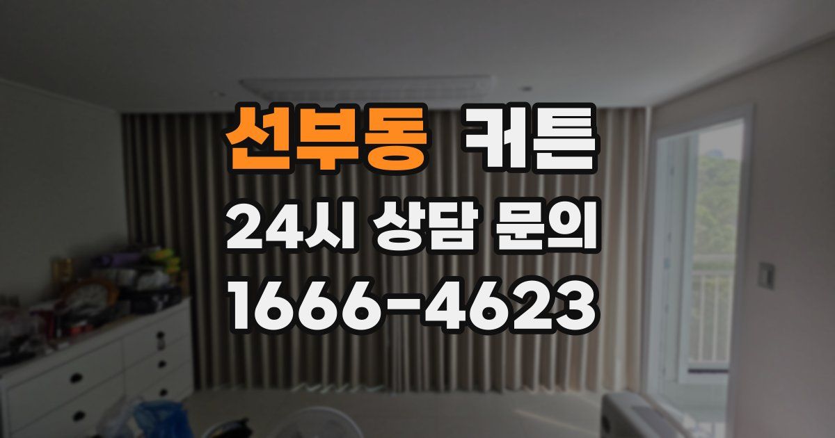선부동 커튼