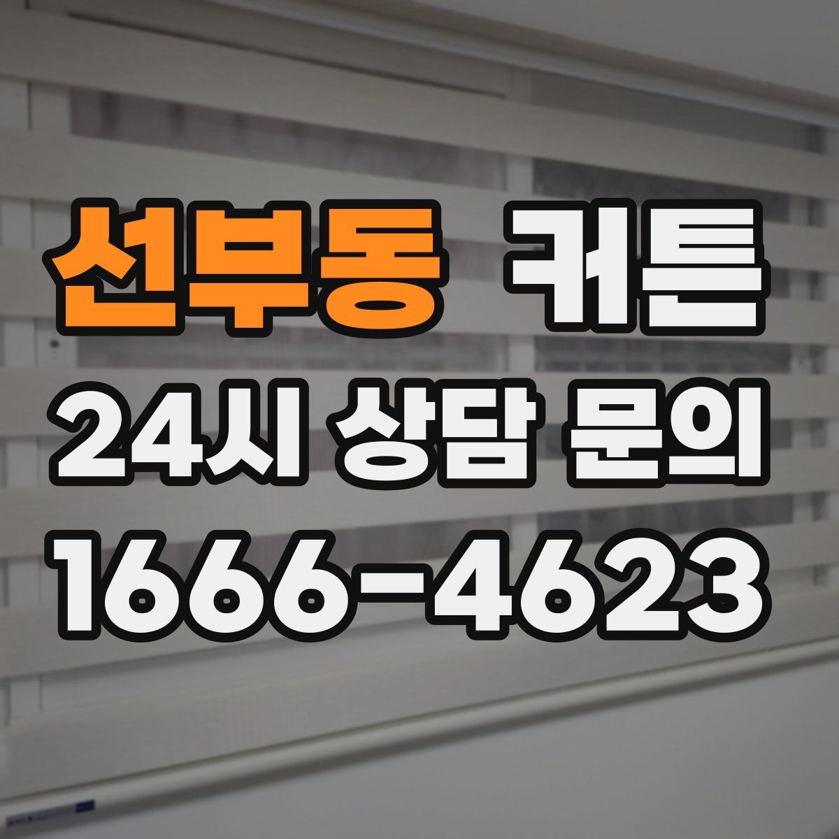 선부동 커튼