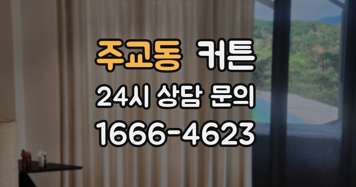 주교동 커튼