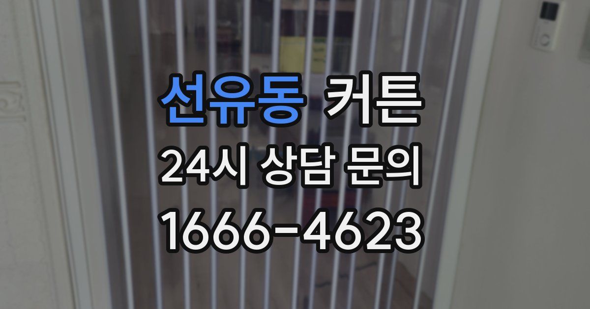 선유동 커튼