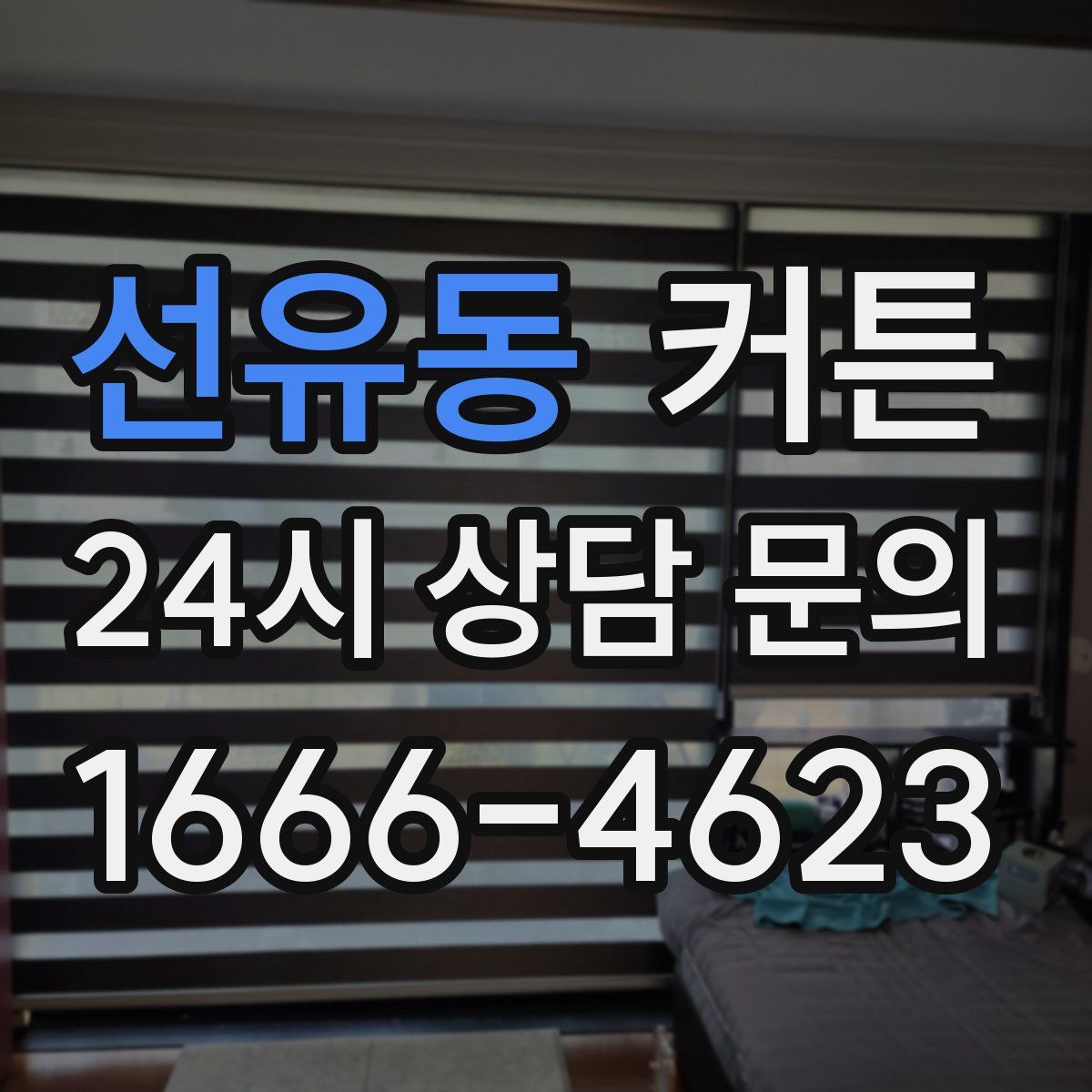 선유동 커튼
